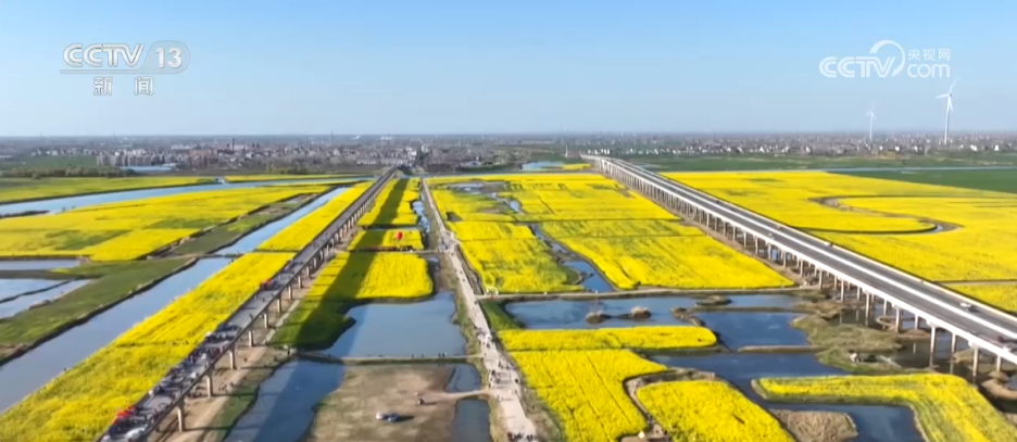 看各地如何抢抓“赏花经济”流量红利AG真人游戏地址种田就是种风景(图5)