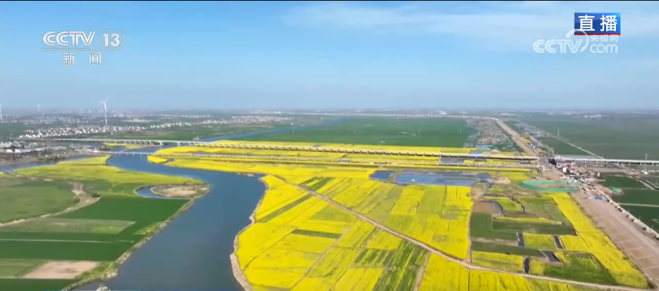 看各地如何抢抓“赏花经济”流量红利AG真人游戏地址种田就是种风景(图7)